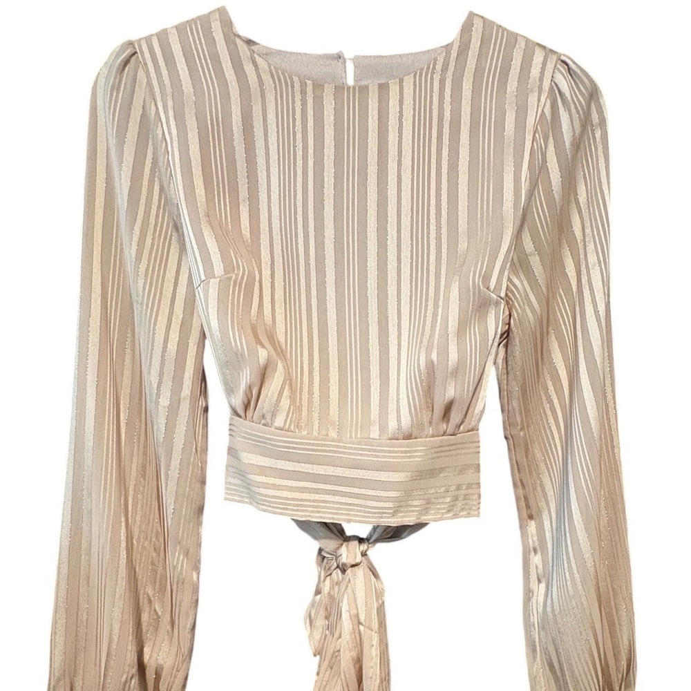 HYFVE Striped Metallic Crop Tie Open Back Blouse Shirt Women's Size Small - Picture 8 of 9
